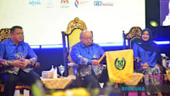 Related article image