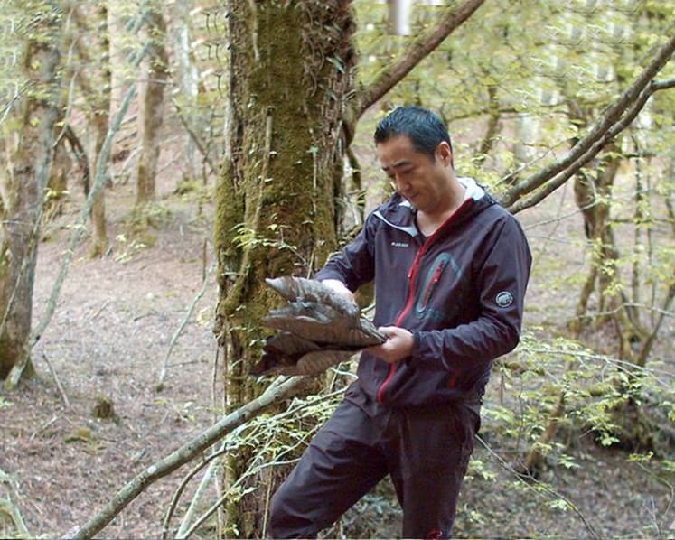 In Kyoto, a restaurant that's been serving freshly foraged food for four generations