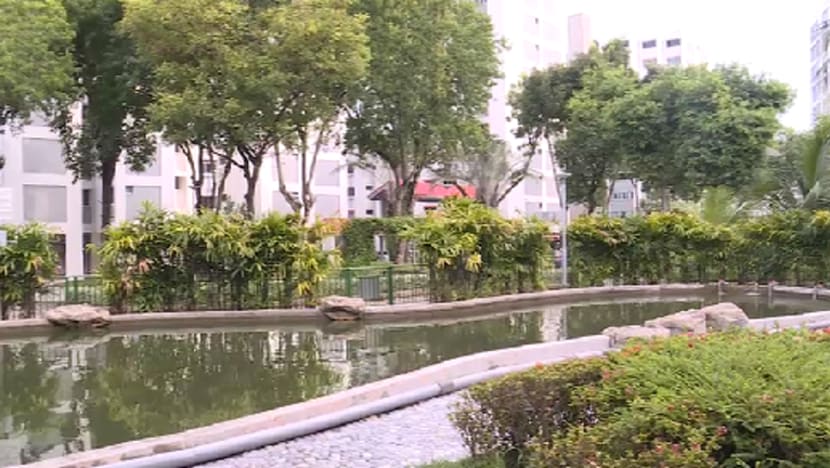 Related article image