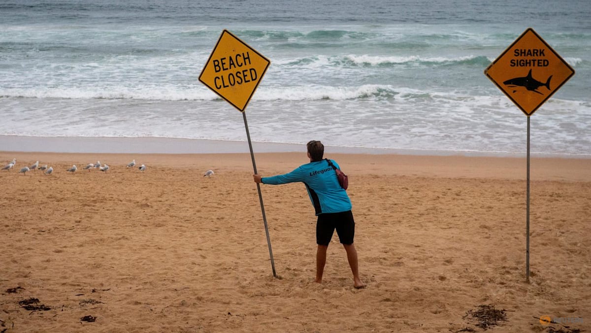 Sydney beaches stay closed after three shark attacks in two days