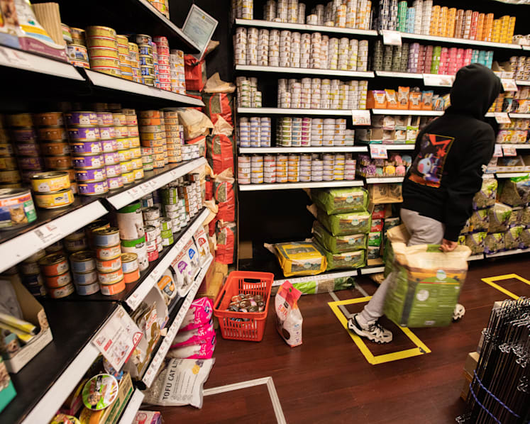 Shark DNA found in some pet food products sold in Singapore: Yale-NUS study