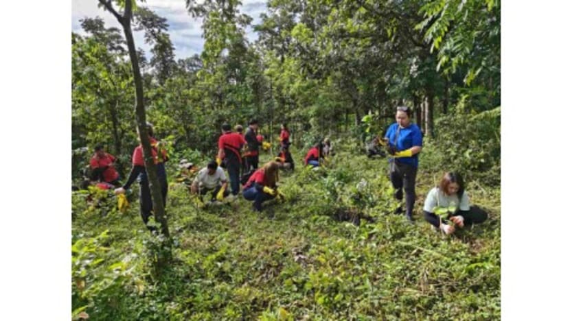 Jollibee Group Earns BBB MSCI ESG Rating, Reinforcing Global Sustainability Performance