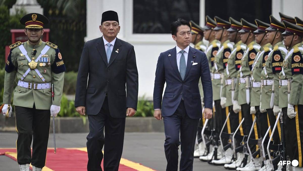 Indonesia, Japan discuss defence ties after Tokyo unlocks arms exports
