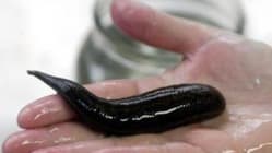 Related article image