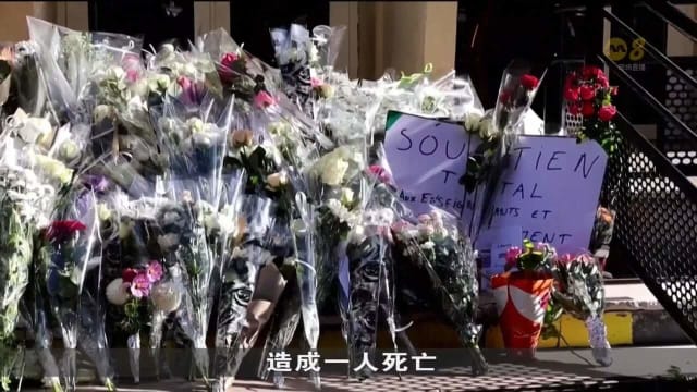 法国进入最高警戒状态 卢浮宫博物馆和凡尔赛宫已重新开放