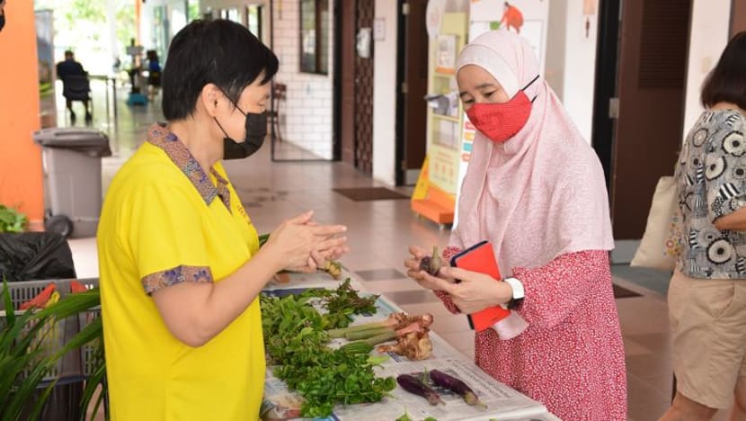Pelan Hijau East Coast dilancar, sediakan peti ais masyarakat dan program pekebun penduduk Pelan Hijau East Coast dilancar, sediakan peti ais masyarakat dan program pekebun penduduk