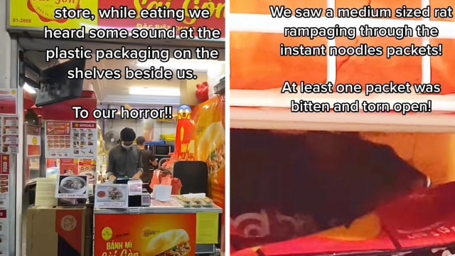 宏茂桥越式法包店有老鼠出没 店家：灭虫人员已进行检查