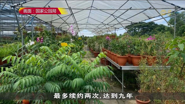 公园局下月起调整园圃土地竞标作业 简化续约流程