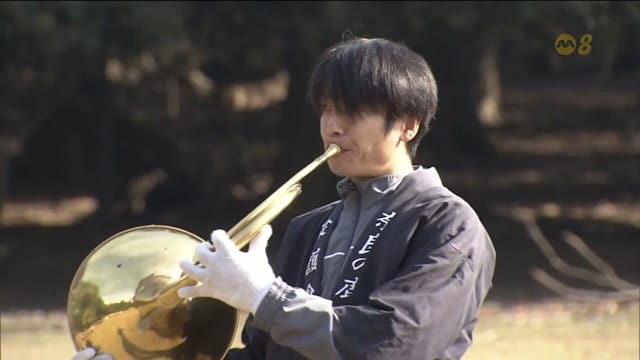 日本奈良举行独特号角活动 吹奏乐曲召来小鹿成打卡热点