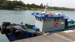 Related article image