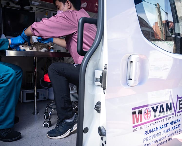 Why is Jakarta rolling out mobile animal doctors and will it be a game-changer for pet owners?