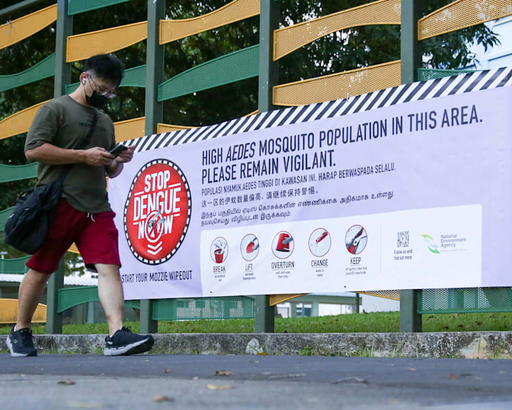 Almost 5,500 dengue cases reported in Singapore so far this year, exceeding last year's total