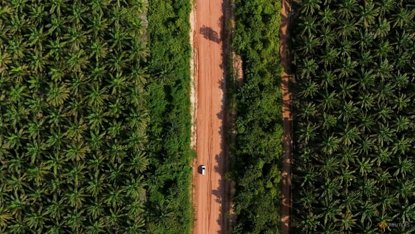 Palm oil posts first weekly gain in three weeks