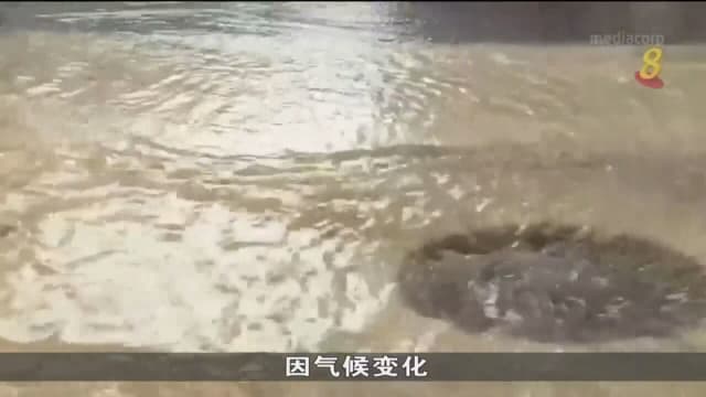 泰国曼谷多个地区发生淹水 未来几个月情况或更严重