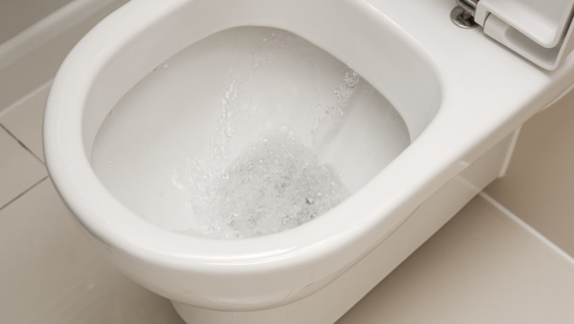 Jail for maid who filled family's jug with toilet bowl water, used employer's facial products: Report Jail for maid who filled family's jug with toilet bowl water, used employer's facial products: Report