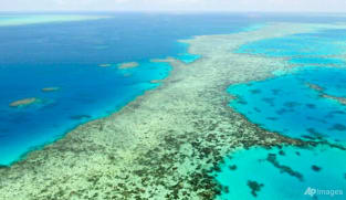 UNESCO chides Australia over Great Barrier Reef proposal