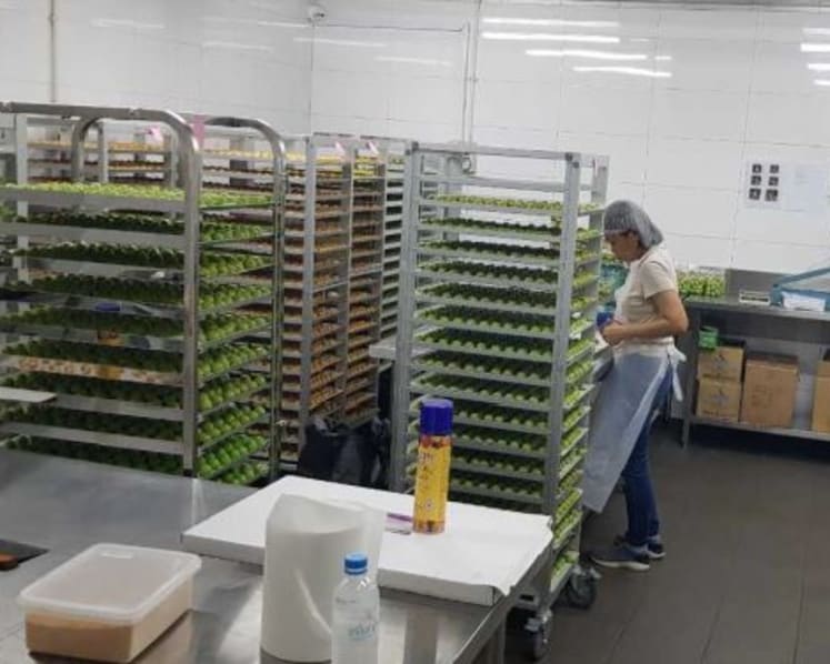 Baker’s Brew Studio fined for producing CNY goodies at unlicensed premises
