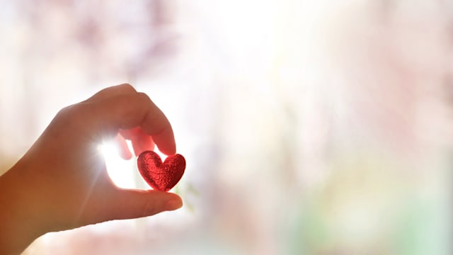 西南社理会启动“欢庆佳节在西南” 为8000户弱势家庭送暖增凝聚力