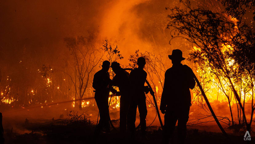 Batuk bayi dan petani yang susah payah memadamkan api: Ketika warga Sumsel berjibaku hadapi kebakaran hutan