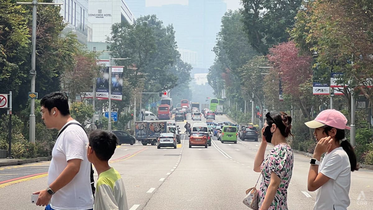 Air quality back at unhealthy levels in central Singapore