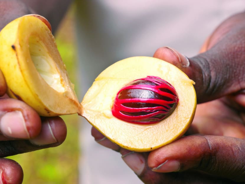 To the spice islands