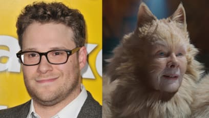 Seth Rogen Reviews "Trippy" Cats While Stoned