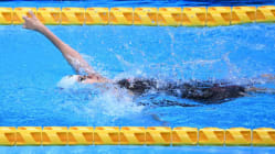 Related article image