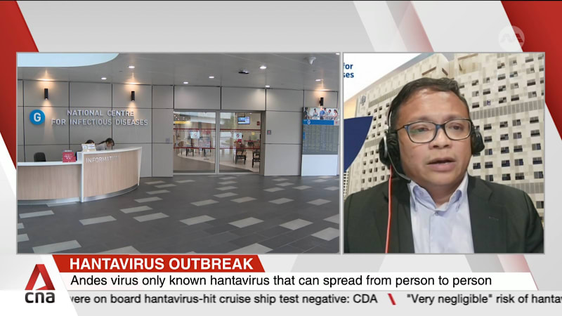 Two Singapore residents who were on board hantavirus-hit cruise ship test negative