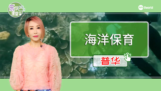 【普华】研究人员估计我国海域5%珊瑚已经死亡 