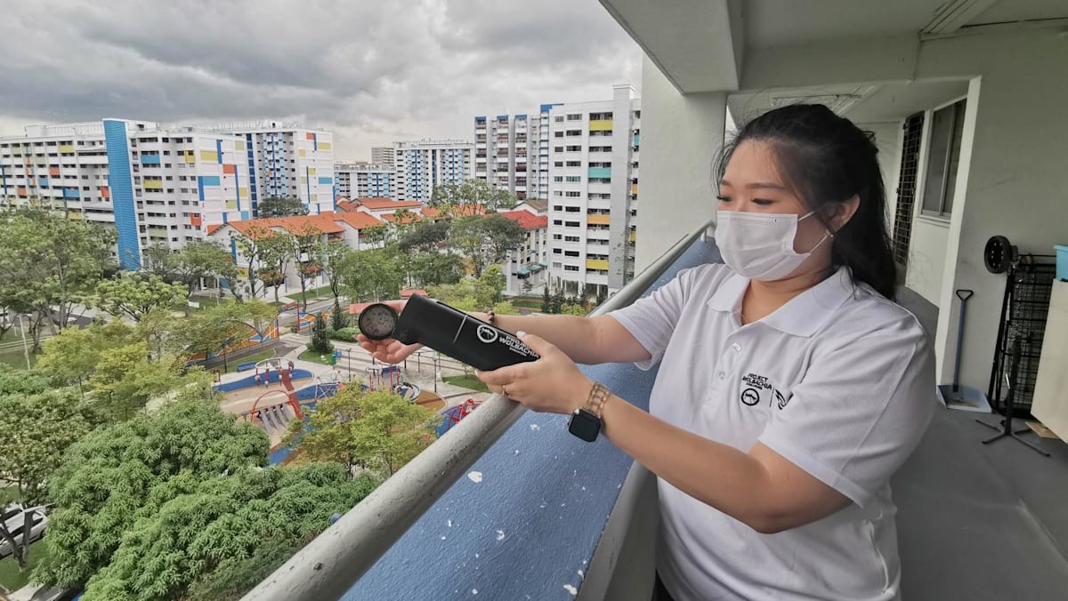 Releasing mosquitoes to fight dengue: How Singapore took Project Wolbachia from lab to heartlands