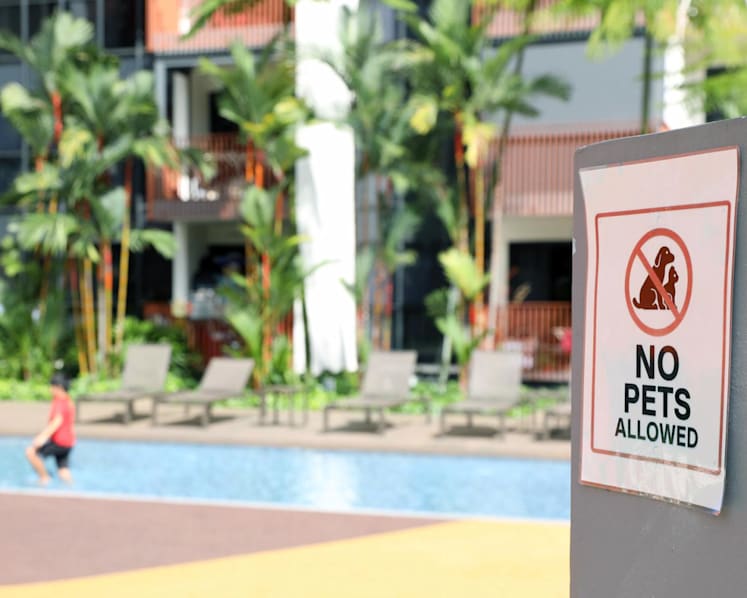 The Big Read: No music, pets in certain areas — condo residents lament 'strict, absurd rules' amid competing needs
