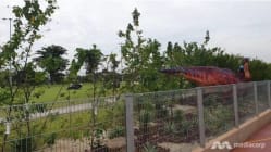 Related article image