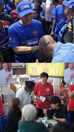 Johor political parties make final push before voting begins