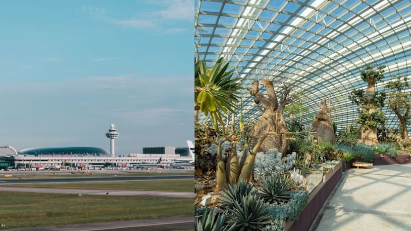 Tourist Ranks Singapore Attractions According To 6 Tiers, And Only One Local Attraction Made It To The Top "King" Tier