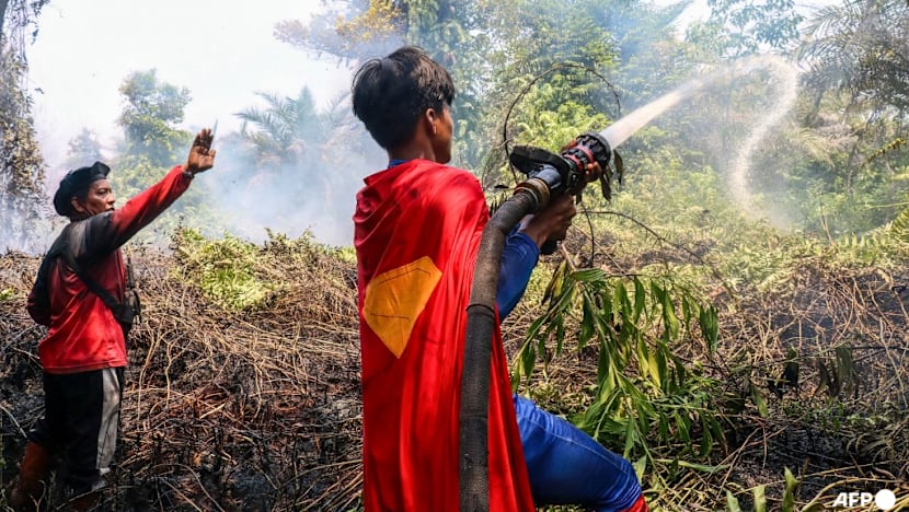 'Keep up the spirit': Indonesian teenage 'Superman' joins wildfire fight
