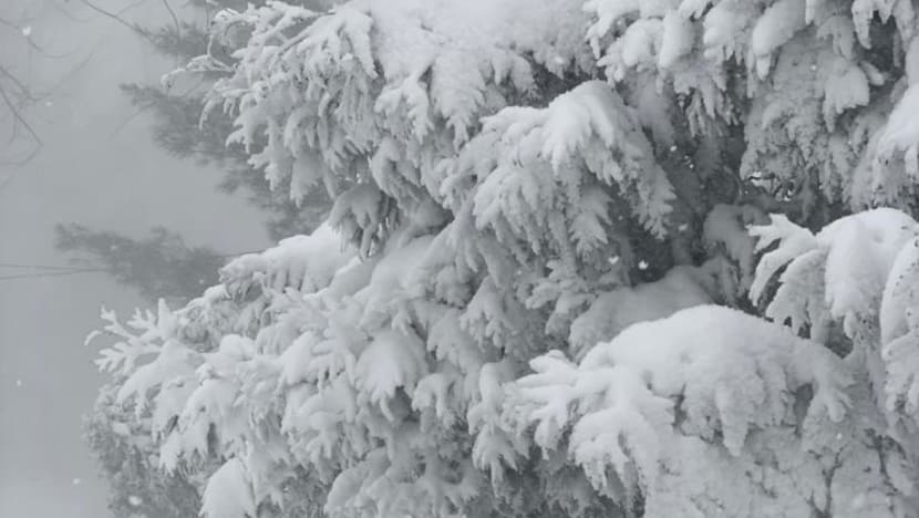 snow_3