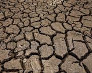 El Nino could cause 451,000 extra heat deaths: Research
