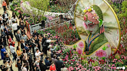 Related article image