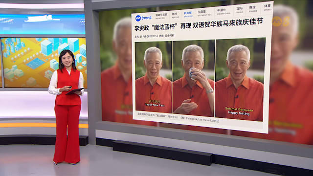 狮城有约 | 8分看视界：李资政“魔法蓝杯”再现 小猴儿认玩具作妈妈