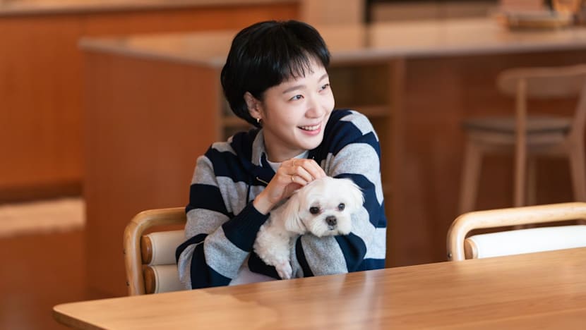 Musim ketiga Yumi’s Cells hadir dengan babak baru dan romansa tak terduga