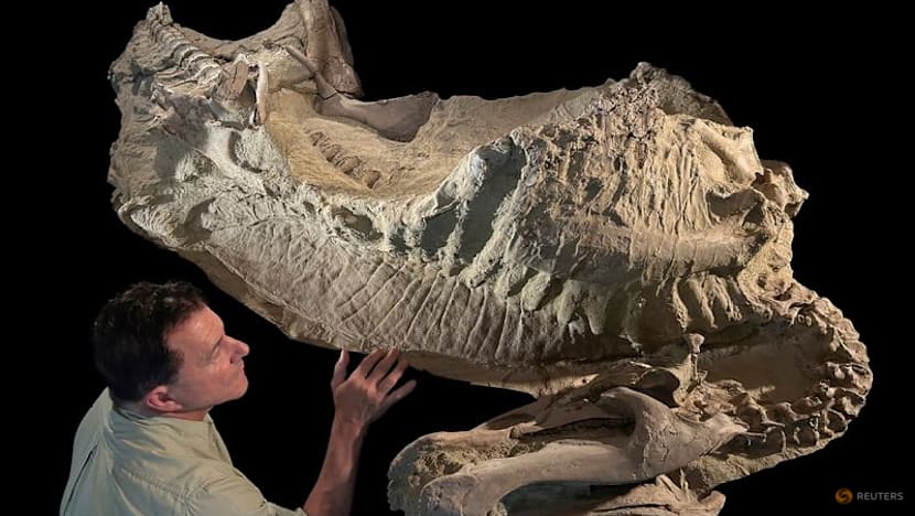 Wyoming dinosaur 'mummies' reveal a surprise: hoofed feet