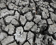 'Super El Nino' raises fears for Asia reeling from Middle East conflict