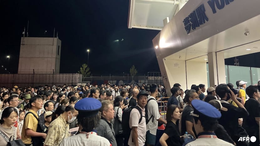 Japan Expo visitors stranded overnight by halted train