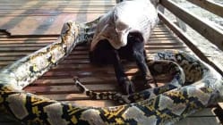Related article image