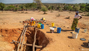 Warming El Nino may return later this year: UN