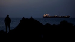 Related article image