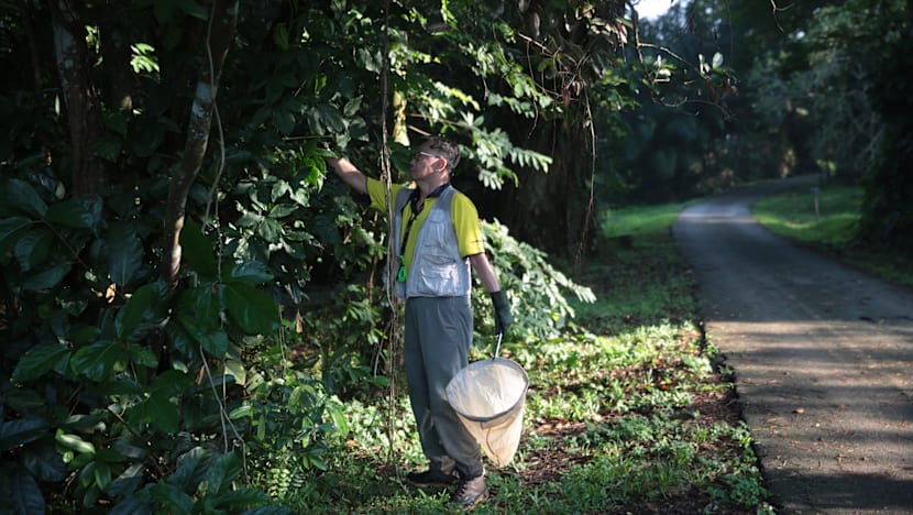 The Big Read: Who’s on the frontlines of conservation? A bunch of (expert) amateurs ...
