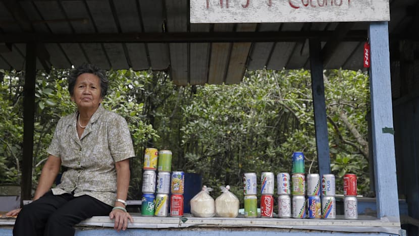 Study shows Pulau Ubin is thriving despite its dwindling population