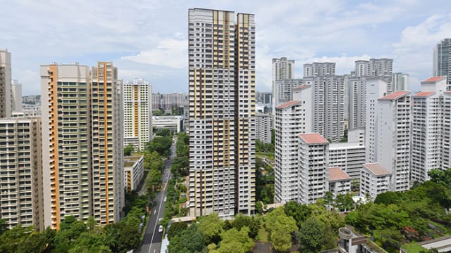 国际专家团肯定我国发展女皇镇保健区方向