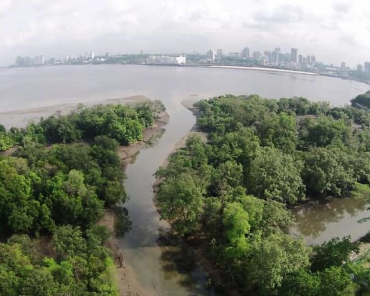 Google will provide US$1 million to Singapore's Mandai Nature to tackle climate crisis